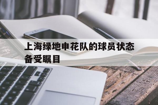 上海绿地申花队的球员状态备受瞩目的简单介绍