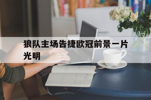 狼队主场告捷欧冠前景一片光明